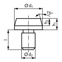 Aufnahmebolzen DIN 6321 Form B, zylindrisch, mit Konus, Technische Zeichnung