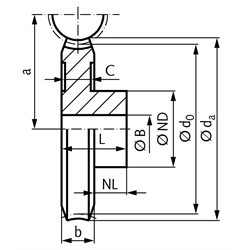 Schneckenräder aus Bronze, zweigängig rechts, Modul 0,5, Technische Zeichnung